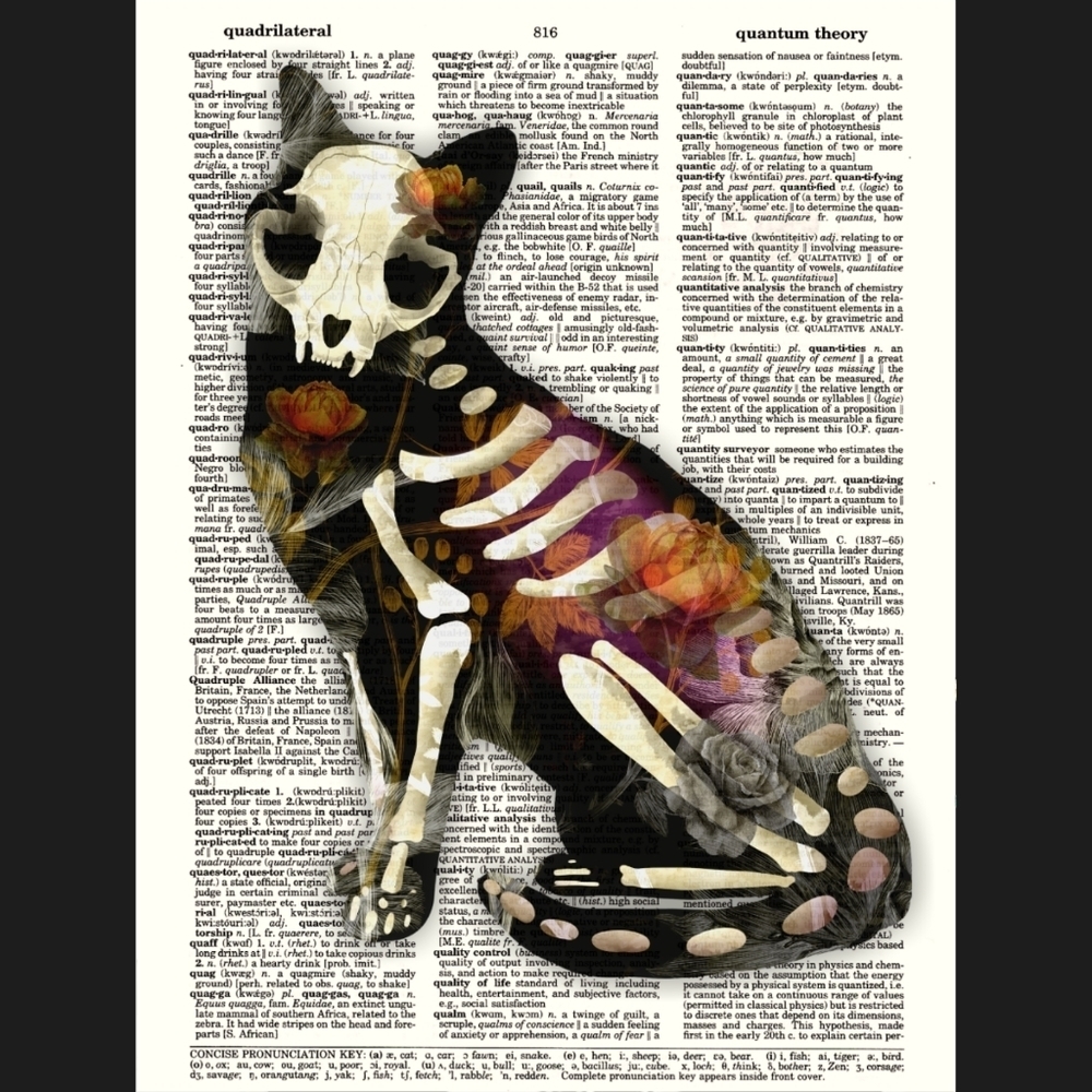 Sugar Skull Orange Cat Goth Whimsy Elegant Floral Halloween Dictionary Art Print